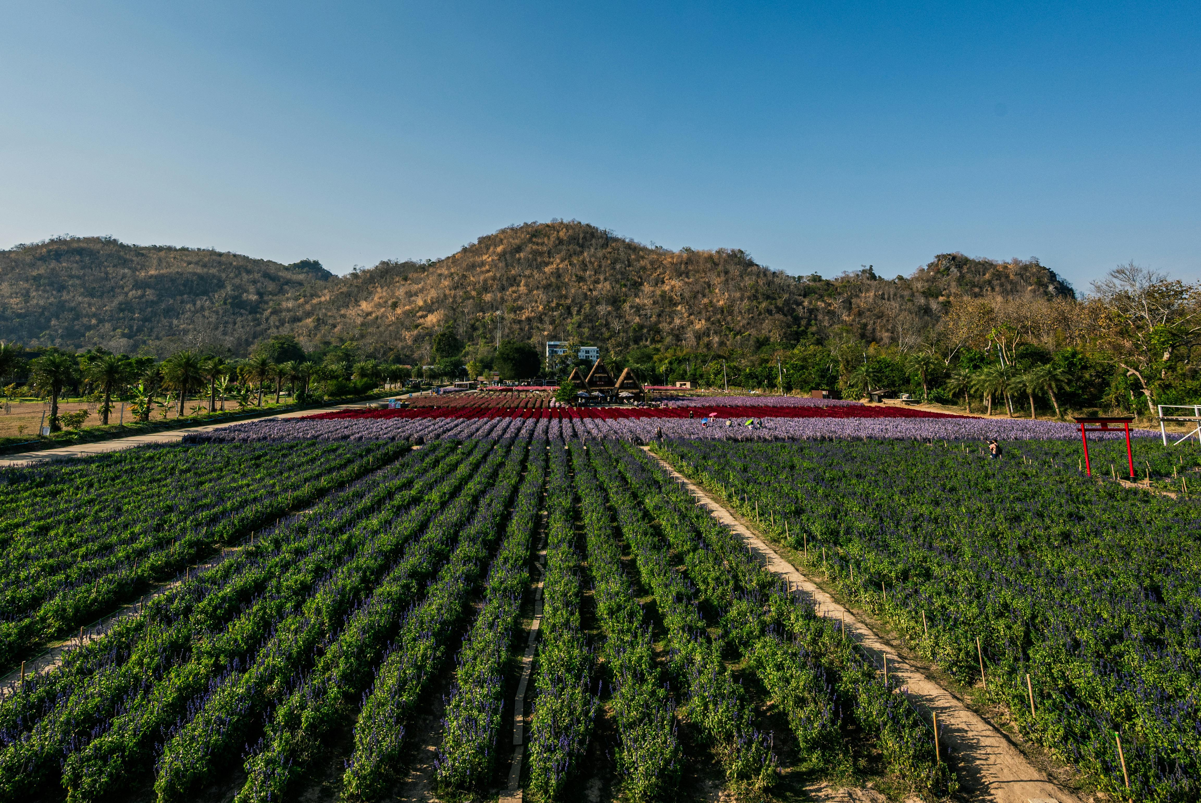 A systems-level solution for restoring soil health and supporting regenerative agriculture